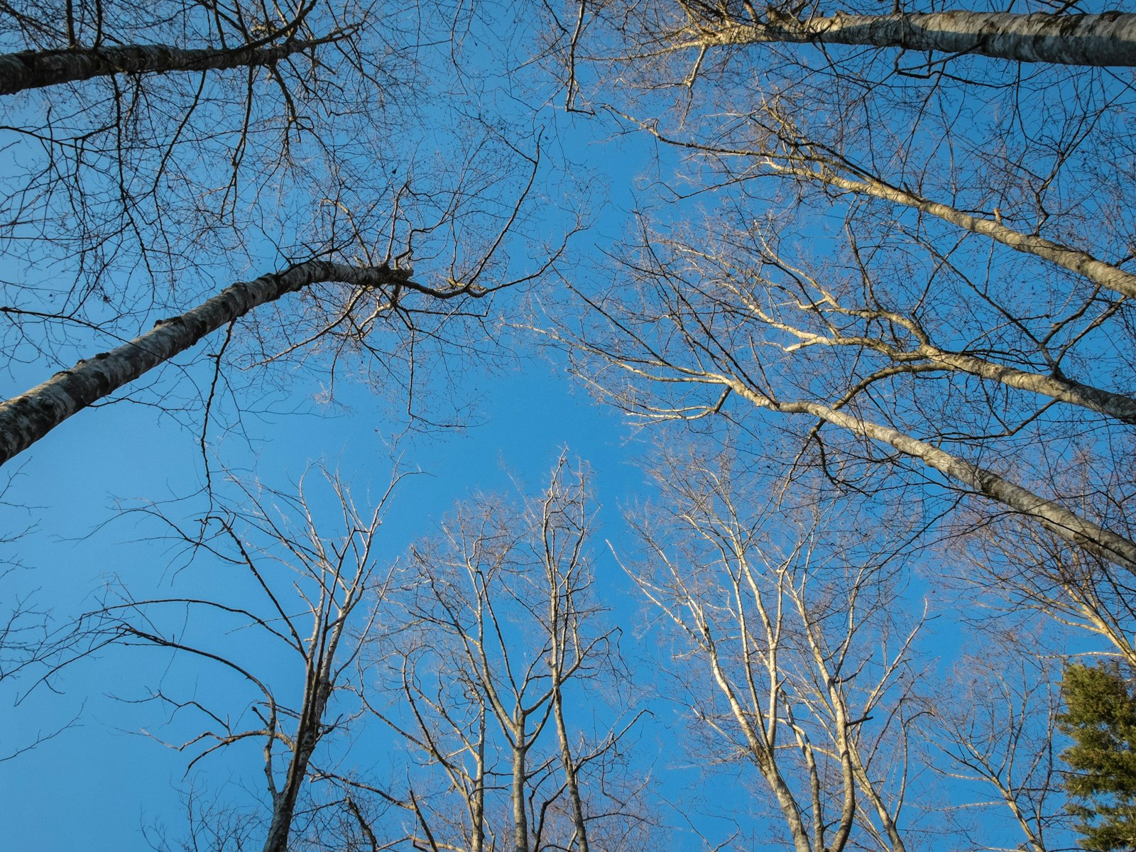 DSCF3044